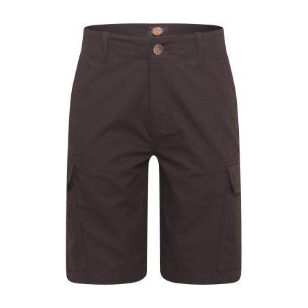 Dickies DICKIES Cargobroek zwart