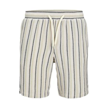 Jack & Jones Jack & Jones Plus Broek JPSTJAIDEN crème / pastelgroen / zwart / wit