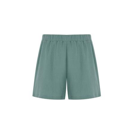 FRESHLIONS FRESHLIONS Broek mintgroen