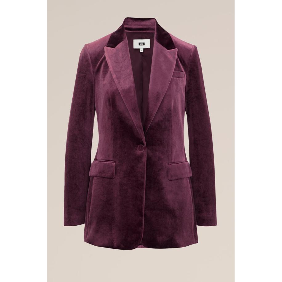 WE Fashion Dames regular fit velvet blazer - Regular fit - Donkerpaars - Maat: 32 Paars