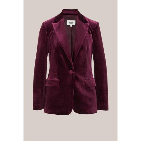 WE Fashion Dames regular fit velvet blazer - Regular fit - Aubergine - Maat: 36