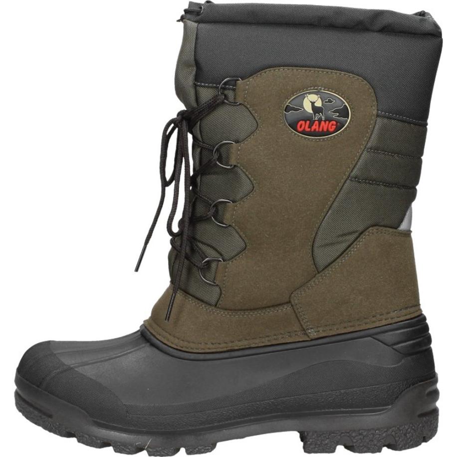 Olang - Canadian Bruin