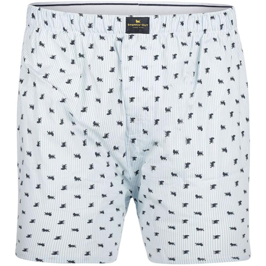 Steppin' Out Boxershort Poplin Print Lichtblauw Blauw