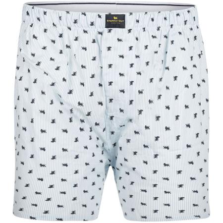 Steppin' Out Boxershort Poplin Print Lichtblauw
