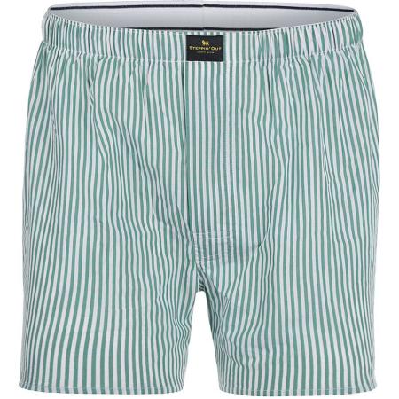 Steppin' Out Boxershort Streep Poplin Groen