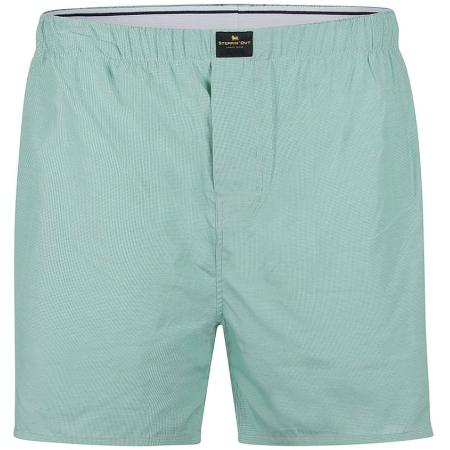 Steppin' Out Boxershort Ruit Groen
