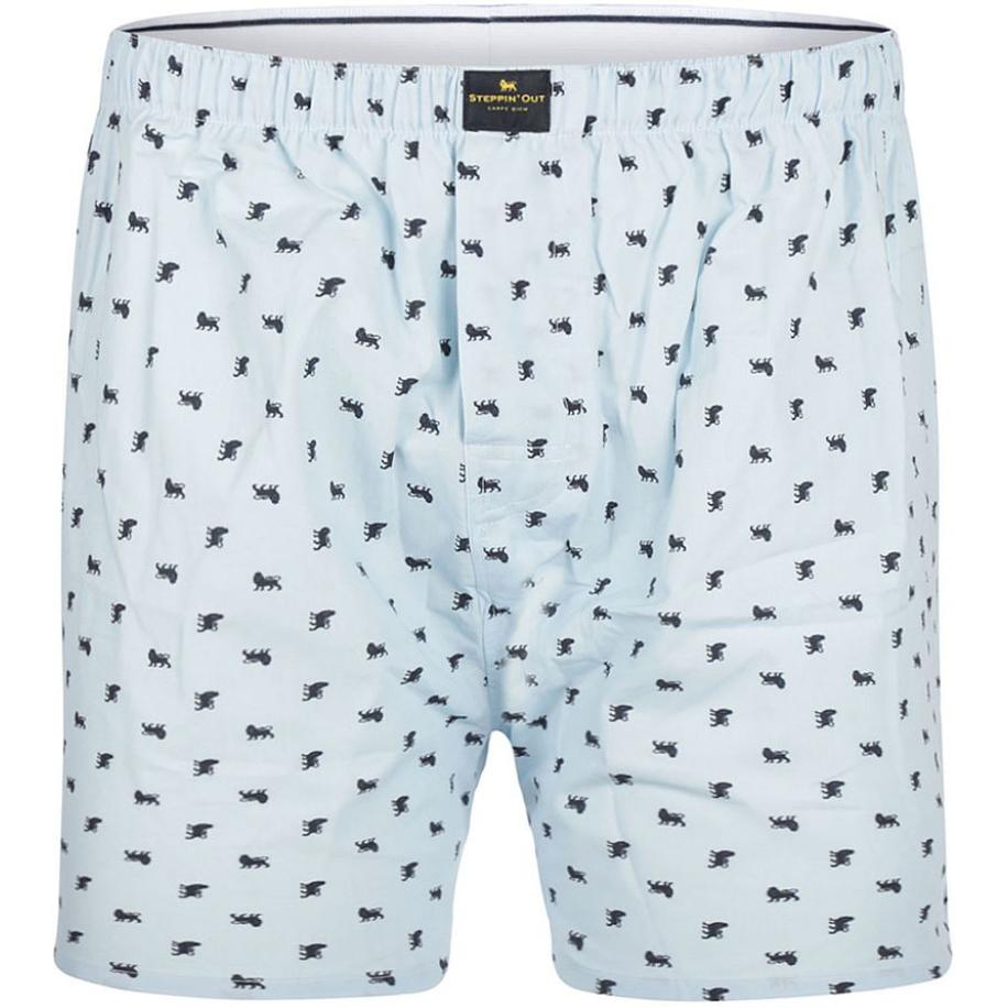 Steppin' Out Boxershort Print Poplin Lichtblauw Blauw