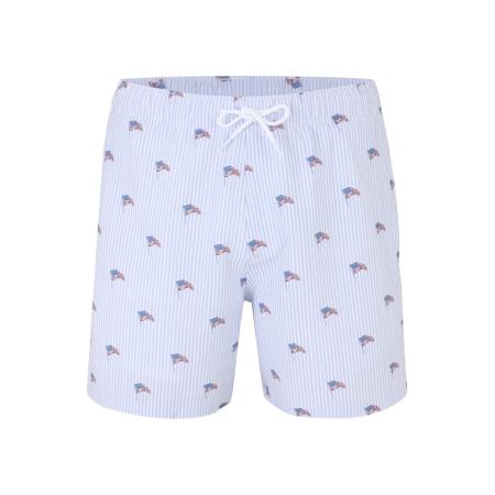 Hollister HOLLISTER Boxershorts blauw / lichtblauw / rood / wit