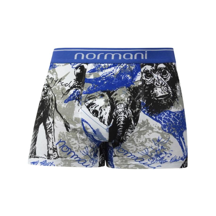 normani normani Boxershorts blauw / grijs / zwart / offwhite -