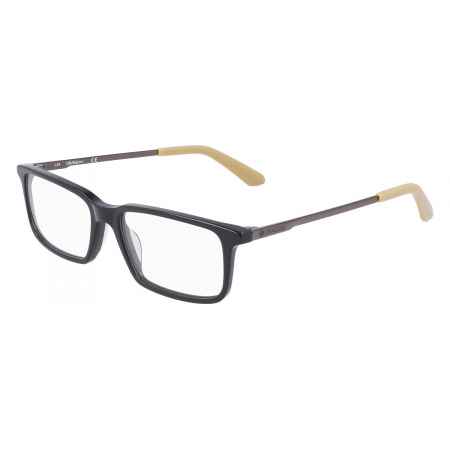 DRAGON Dragon DR2030 021 Grijs Heren Bril