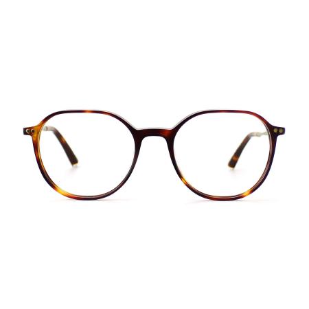 Taylor Morris SW2 C2 Tortoiseshell Heren Bril