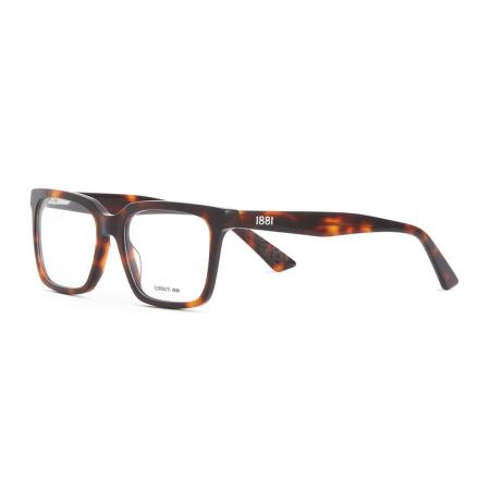 CERRUTI CR 60065 C2 Tortoiseshell Heren Bril