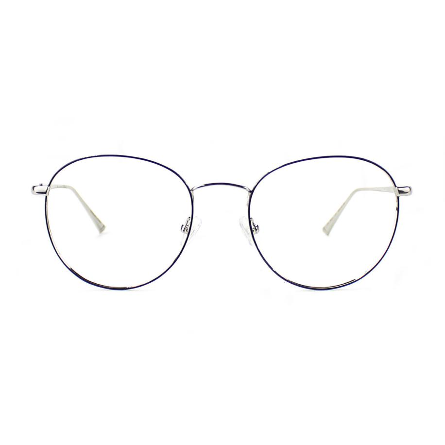 Taylor Morris SW11 C1 Zilver Heren Bril