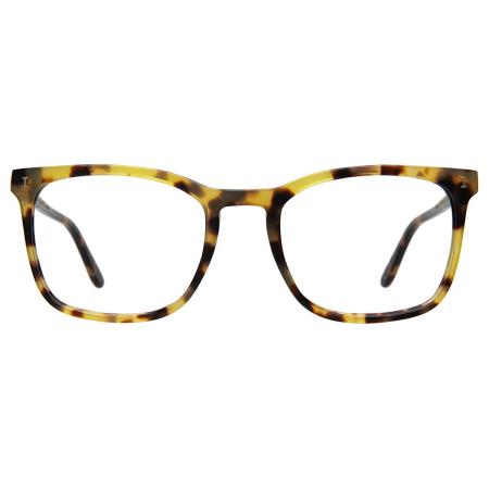 Illesteva Greg GRG2OP Tortoiseshell Heren Bril