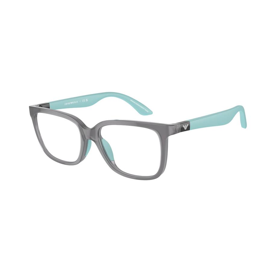 Emporio Armani EK3006 Kinder 6134 Grijs Kinder Bril