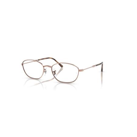 Ray-Ban RB3749V OPTICS Koper montuur Helder glazen gepolariseerd 53-18