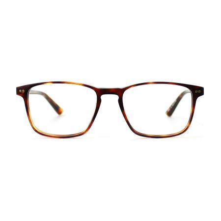 Taylor Morris SW16 C2 Tortoiseshell Heren Bril