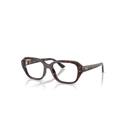 Ray-Ban Shea Optics Bio-based Havana montuur Helder glazen Gepolariseerd 53-18