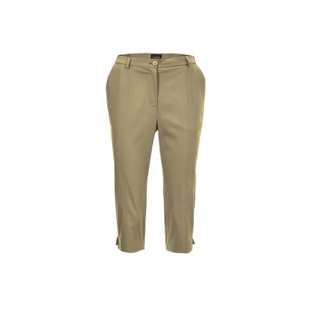 Goldner Goldner Broek riet