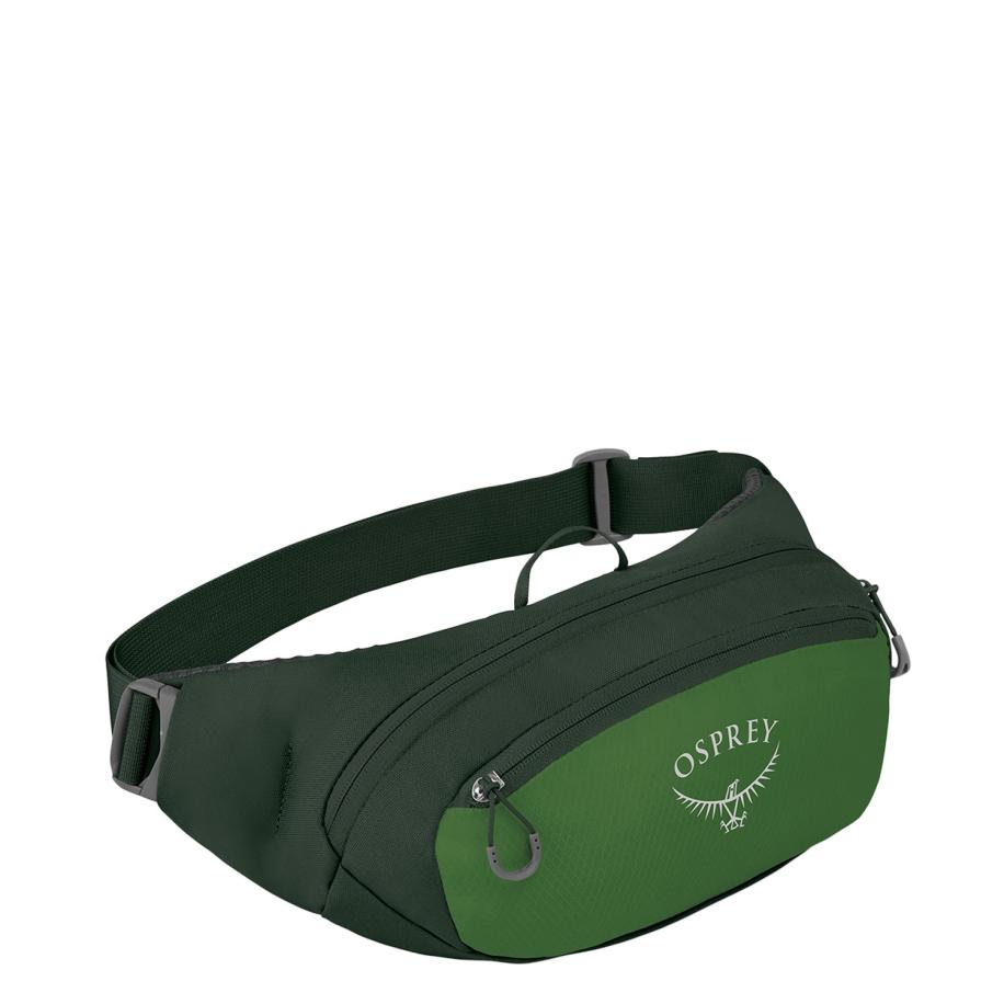 Osprey Daylite Waist green belt/green canopy Multicolor