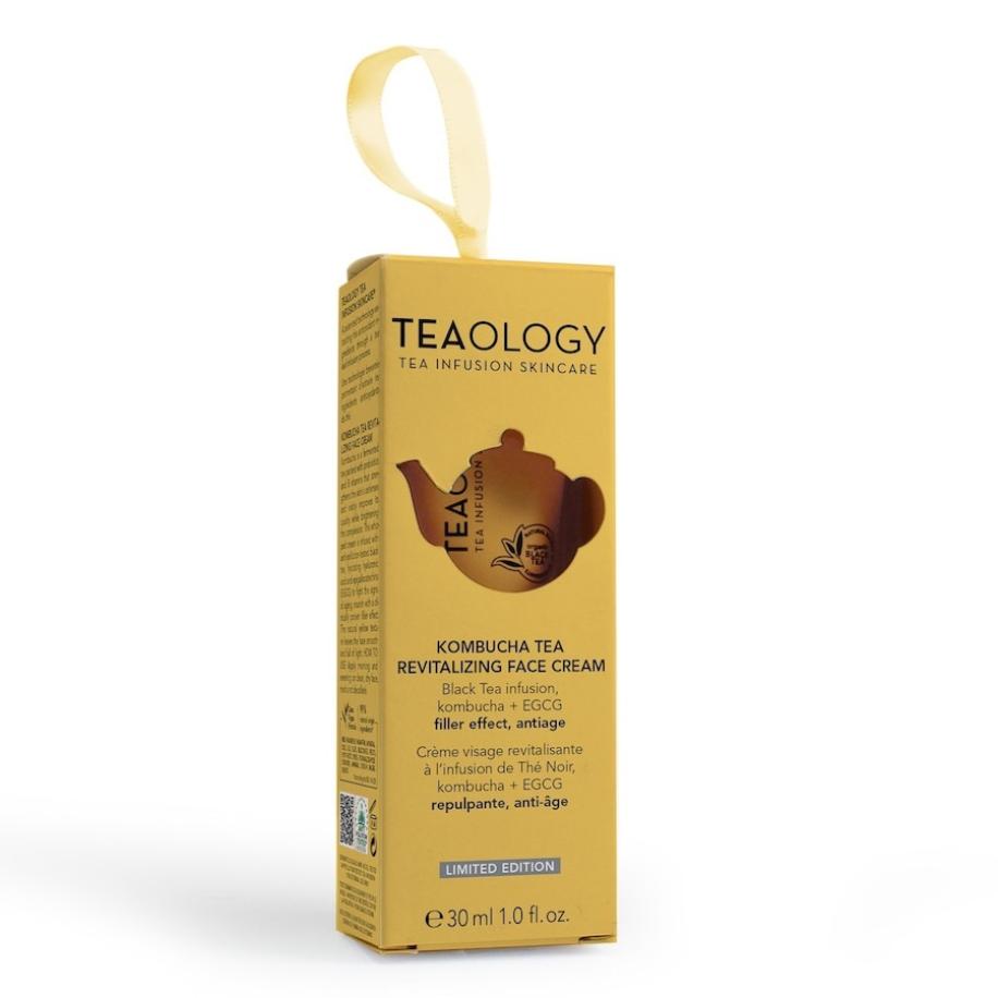 Teaology Tea Box Kombucha Tea