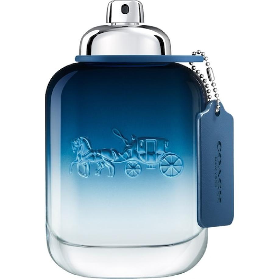 COACH Blue Eau de Toilette Spray