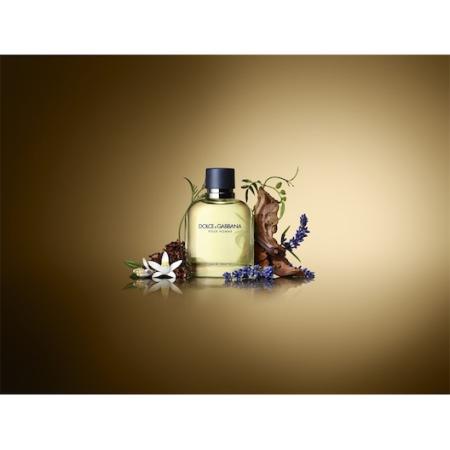 Dolce&Gabbana Pour Homme Eau de Toilette Spray Herenparfum Heren 200 ml