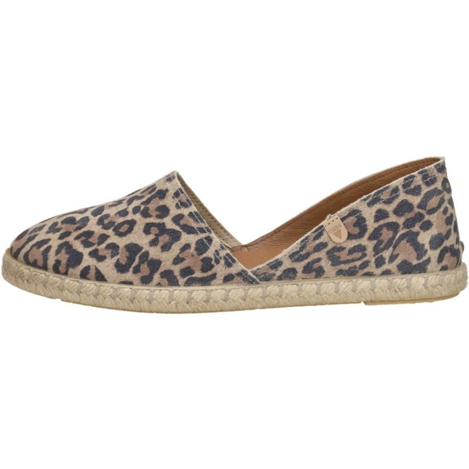 Verbenas - Carmen Bruin