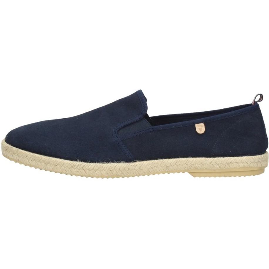 Verbenas - Troy Blauw