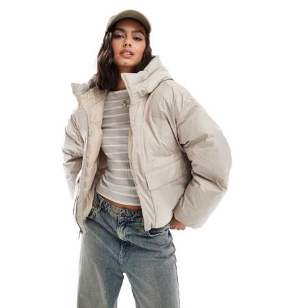 Converse Kort gewatteerd jack in beige-Bruin