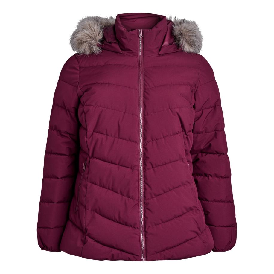 Zizzi Zizzi Winterjas Cajulia wijnrood -