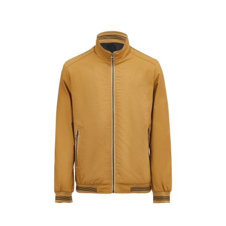 idem Tussenjas safraan