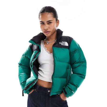The North Face 96 Retro Nuptse Gewatteerd jack in groen