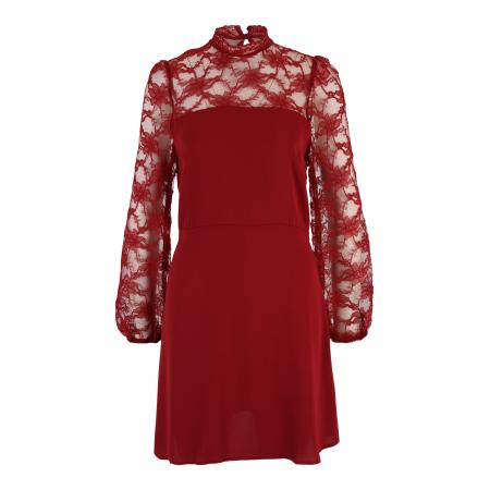 Dorothy Perkins Dorothy Perkins Cocktailjurk braam