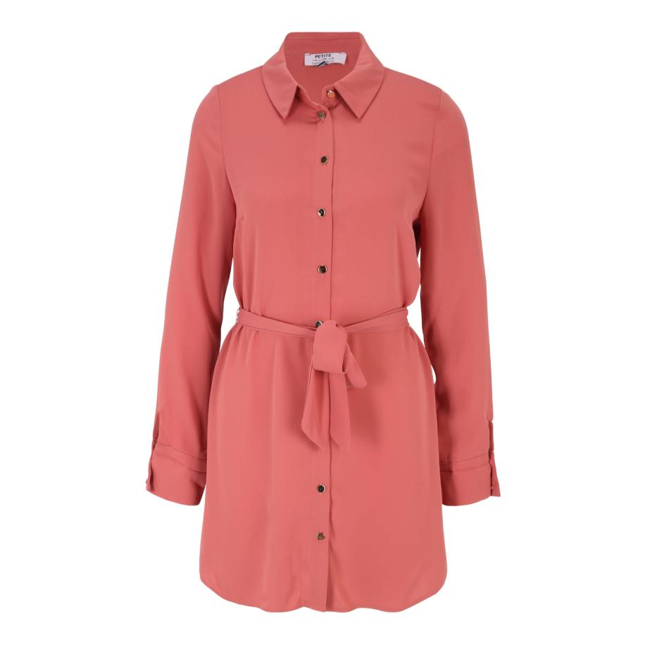 Dorothy Perkins Dorothy Perkins Petite Blousejurk oudroze -