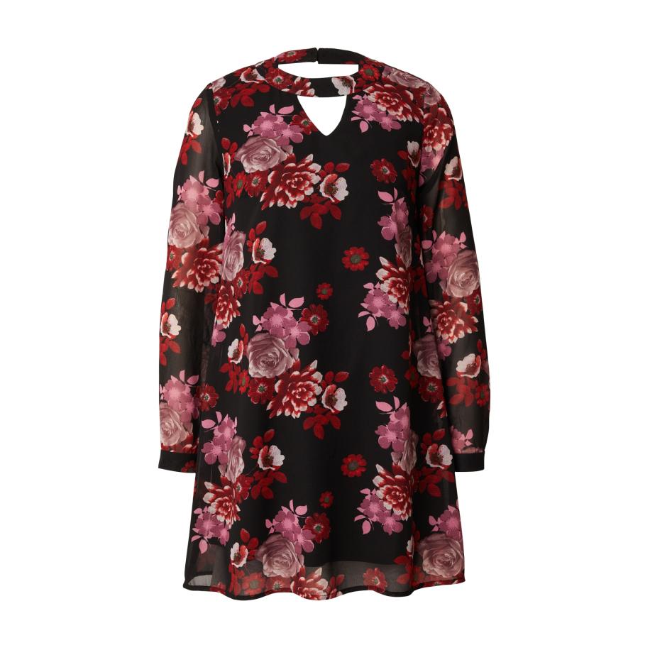 Wallis Wallis Jurk oudroze / lichtroze / donkerrood / zwart -