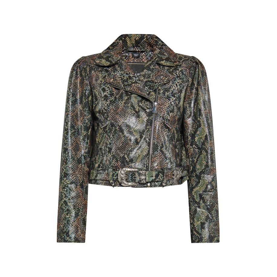 Faina faina Tussenjas gemengde kleuren -