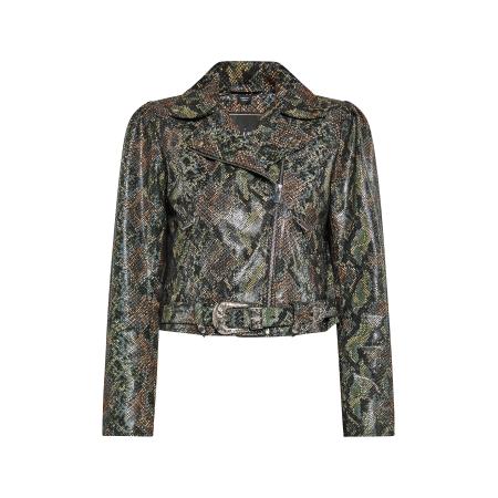 Faina faina Tussenjas gemengde kleuren