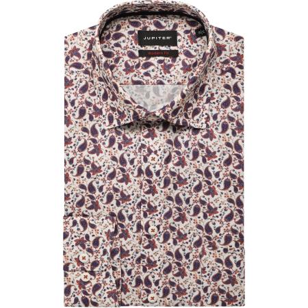 Jupiter Overhemd terra, Motief