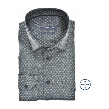 Ledȗb Overhemd groen, Motief