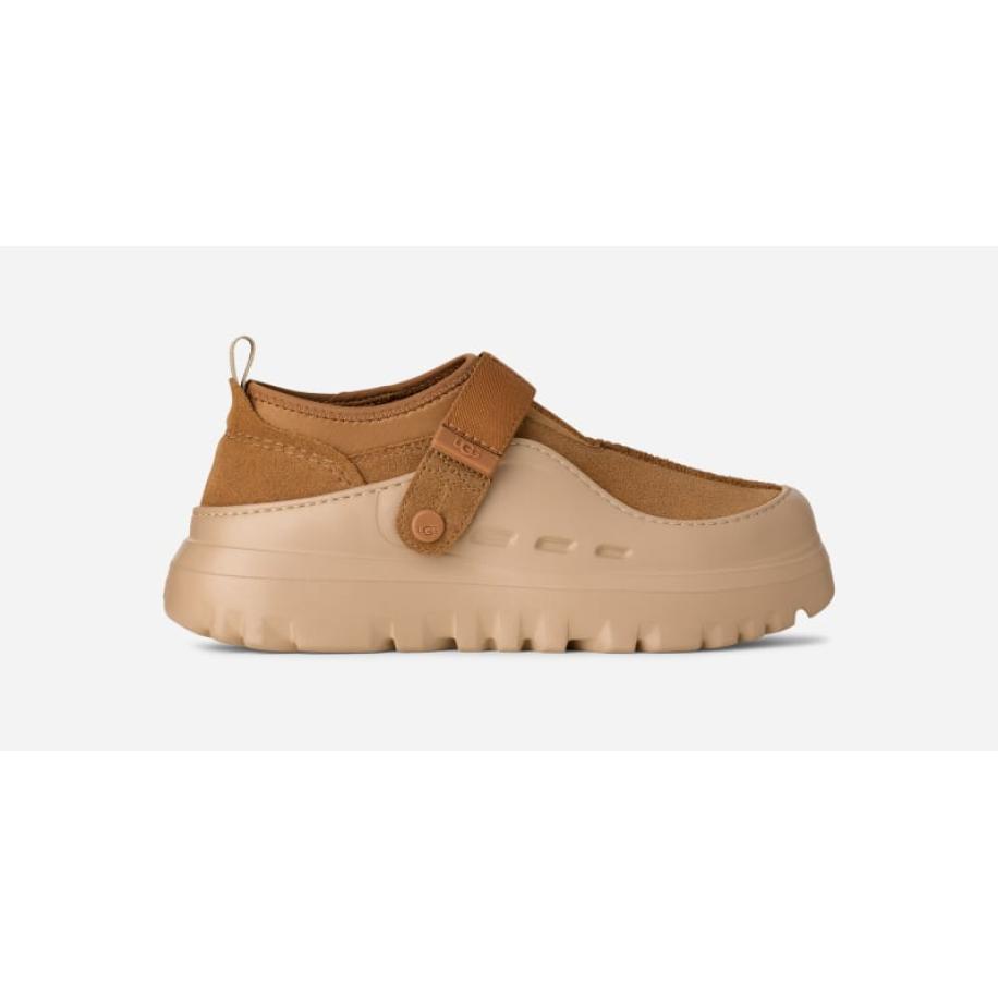 UGG® PeakMod Lowcut in Brown, Maat 48.5, Suede Rood