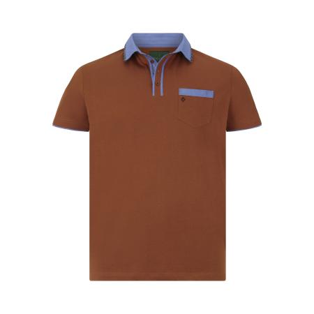 Charles Colby Polo shirt Korte mouw bruin