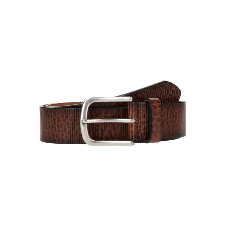 Tom Tailor TOM TAILOR Riem ROY LEA bruin / cognac