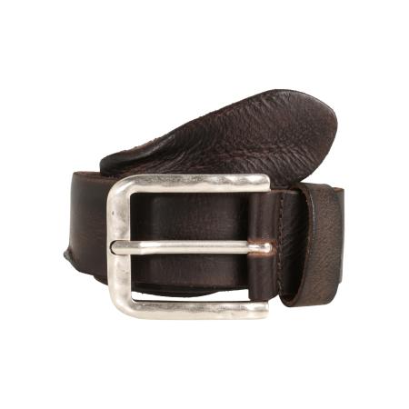 Vanzetti VANZETTI Riem donkerbruin