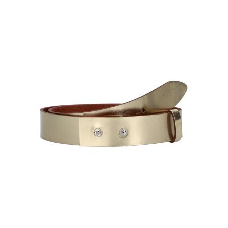 Vanzetti VANZETTI Riem goud