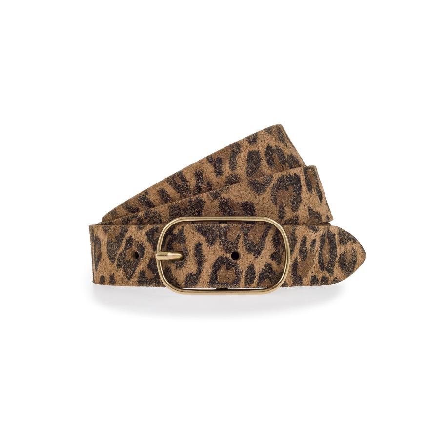 Vanzetti VANZETTI Riem brokaat / donkerbruin / taupe -