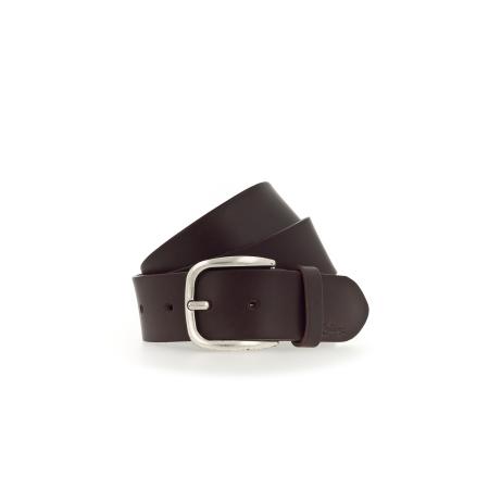 Mustang MUSTANG Riem donkerbruin