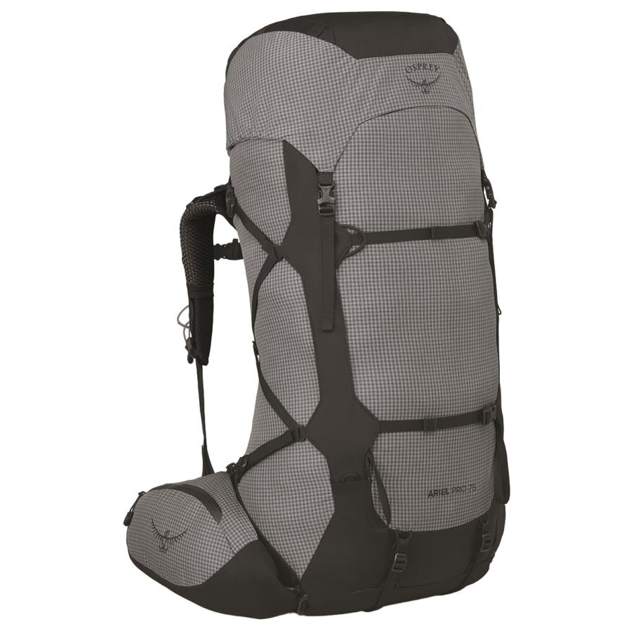 Osprey Ariel Pro 75 WM/WL silver lining backpack Grijs