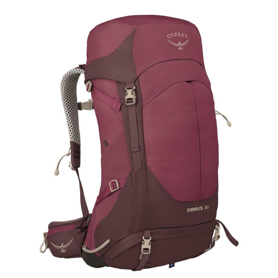 Osprey Sirrus 36 elderberry purple/chiru tan Multicolor