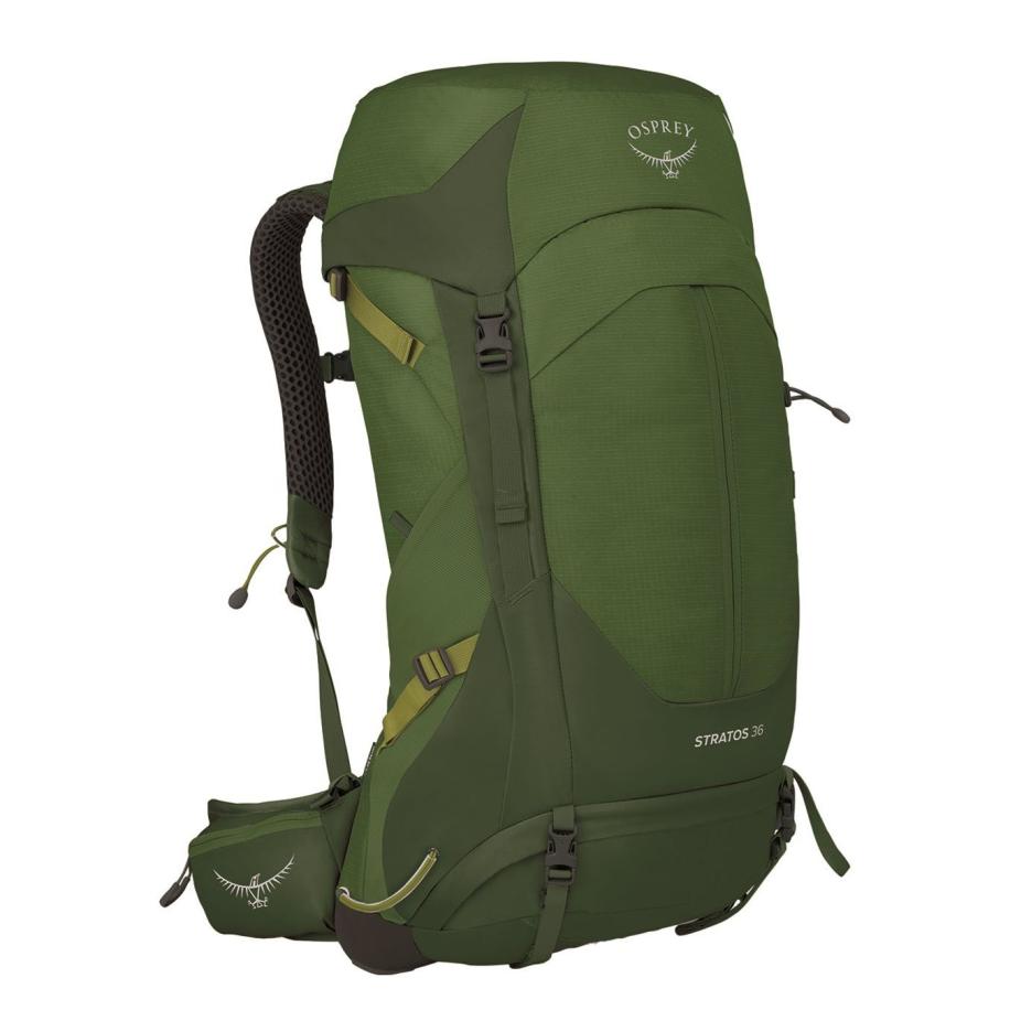 Osprey Stratos 36 seaweed/matcha green Groen